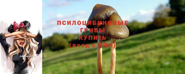 первитин Абаза