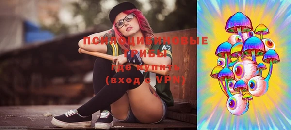 mix Гвардейск