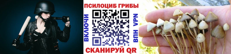 продажа наркотиков  Урень  даркнет как зайти  Галлюциногенные грибы Psilocybe 
